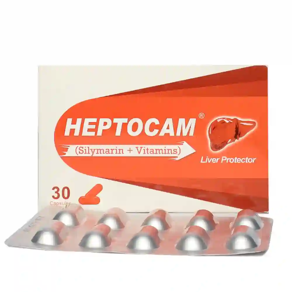 Heptocam