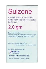 Sulzone Injection 2g